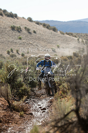 IMG_1994-16t