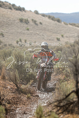 IMG_2003-43c
