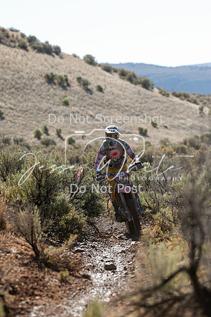 IMG_2019-40c