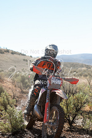 IMG_2007-43c