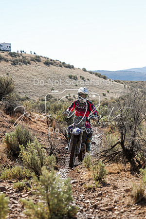 IMG_2028-349x