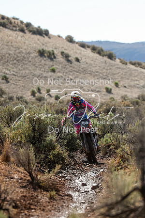 IMG_2046-244n
