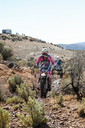 IMG_2050-244n