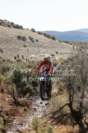 IMG_2058-324n