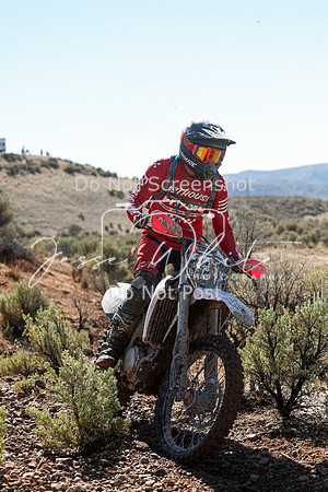 IMG_2063-324n