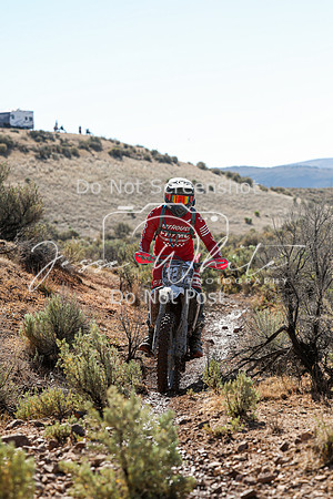 IMG_2062-324n