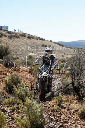 IMG_2069-13w