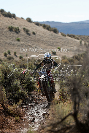 IMG_2074-86n
