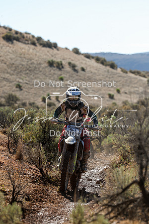 IMG_2077-86n