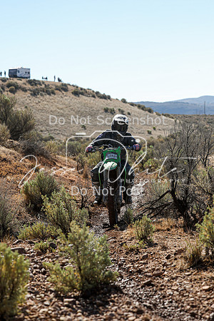 IMG_2099-511n