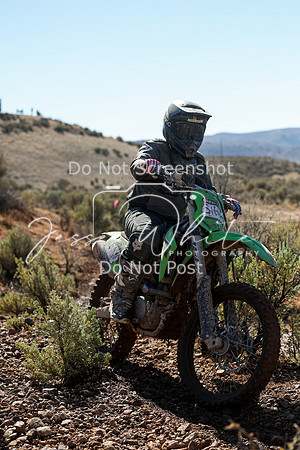 IMG_2101-511n