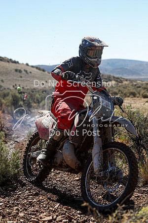 IMG_2117-211n