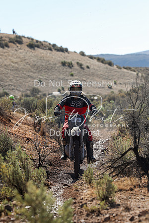 IMG_2114-211n