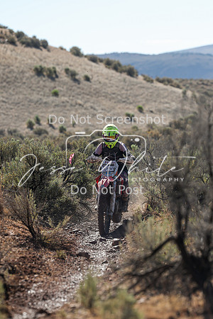 IMG_2119-474w