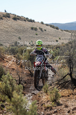 IMG_2122-474w