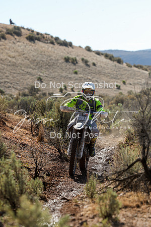 IMG_2130-827t