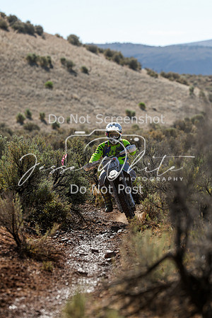 IMG_2127-827t