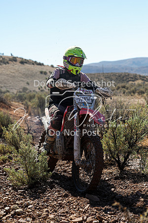 IMG_2125-474w