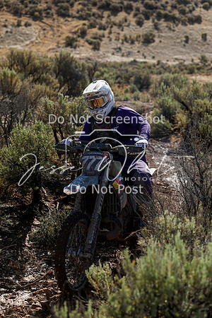 IMG_2166-777x
