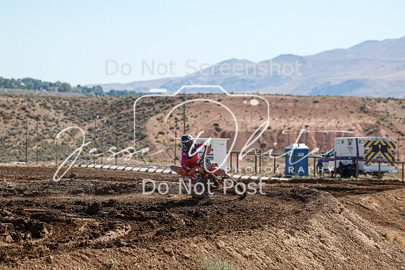 IMG_2431-111a