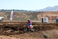 IMG_2436-244n