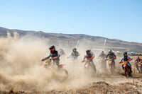 IMG_2534-333x