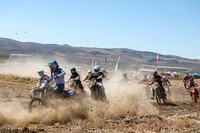 IMG_2532-800t
