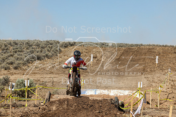 IMG_2547-146t