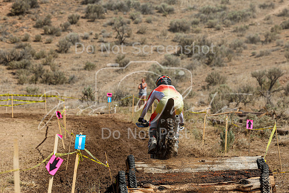 IMG_2559-146t