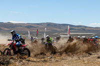 IMG_3295-