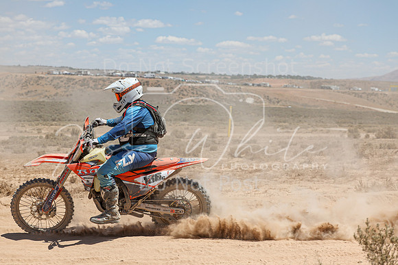 IMG_3716-186c