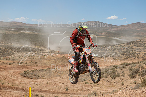 IMG_4046-511t