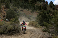 IMG_8904-349-2