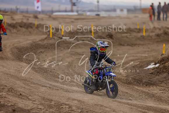 IMG_3669-308z