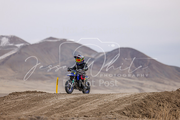 IMG_3683-308z