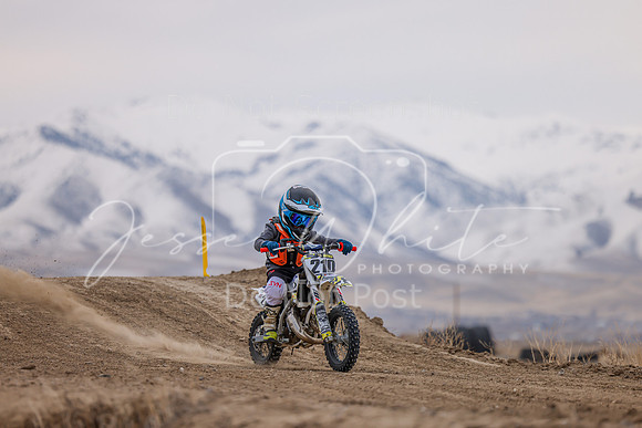 IMG_3766-210z