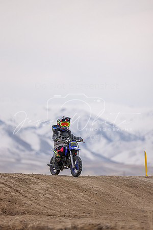 IMG_3796-308z