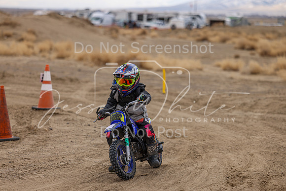 IMG_3823-308z