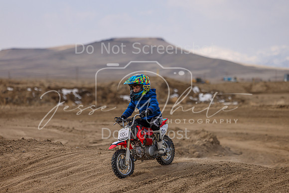 IMG_3952-385f
