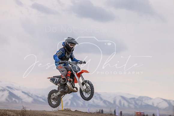 IMG_4040-7y