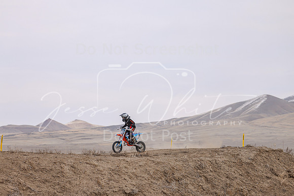 IMG_4052-86y