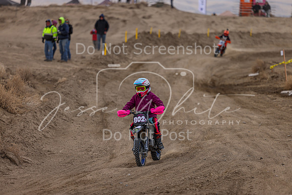 IMG_4084-802y