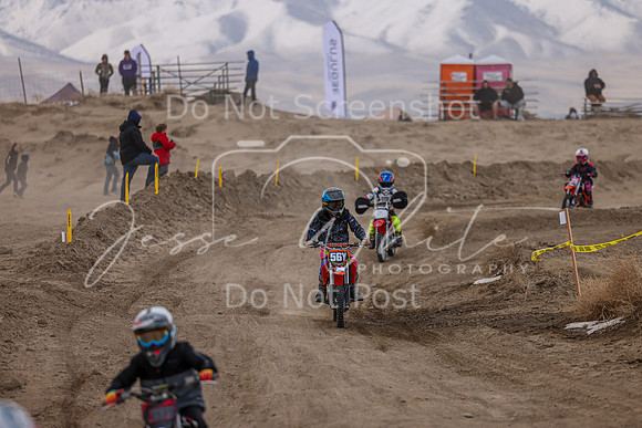 IMG_4100-56y