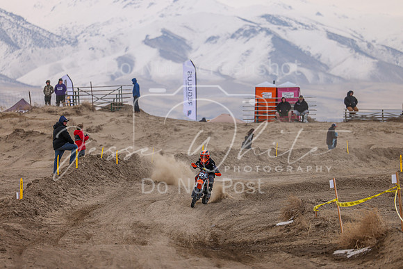 IMG_4108-375y