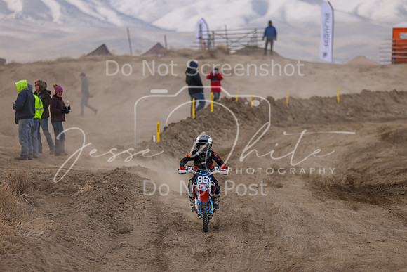 IMG_4126-86y