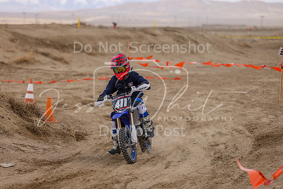 IMG_4201-411y