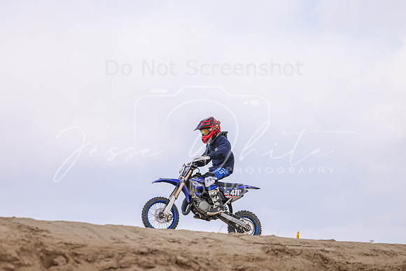 IMG_4209-411y