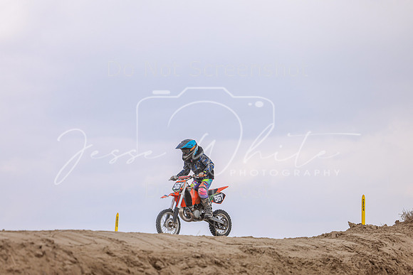 IMG_4216-56y