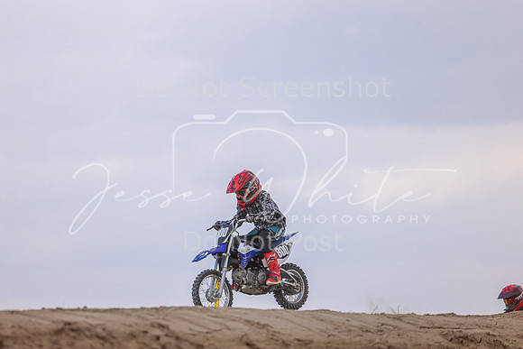 IMG_4236-800f