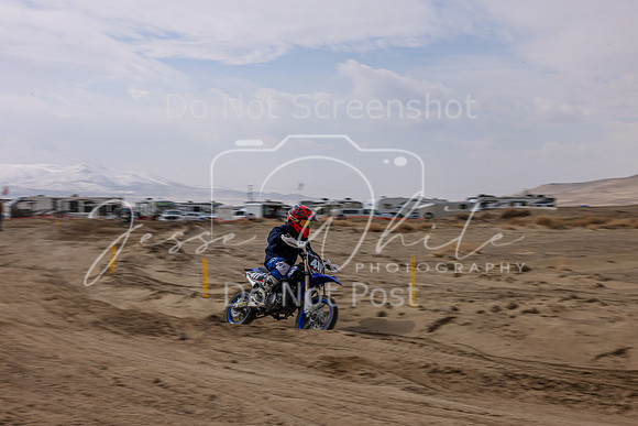 IMG_4339-411y